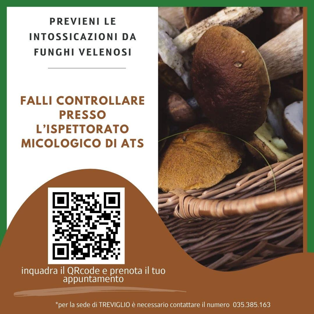 ATS_BERGAMO's tweet image. Per tutta la stagione di maggior crescita e raccolta dei #funghi è attivo il servizio gratuito dell' Ispettorato Micologico di #ATSBergamo che assicura il servizio di #controllo e riconoscimento delle specie fungine.🍄
 
Prenota subito 👉 bit.ly/PRENOTAZIONE_M…