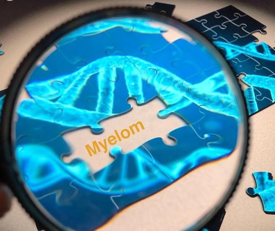 BCF_1982's tweet image. Idag 27/9 uppmärksammas blodcancersjukdomen myelom globalt. Se Dr. Johan Lunds föreläsning:
blodcancerforbundet.se

#europeanmyelomaday #mpeurope #imoveforcancer #folkhälsodalen #patientriksdagen #nätverketmotcancer #geblod #cancerfonden #kraftenshus #cancerkompisar #fuckcancer