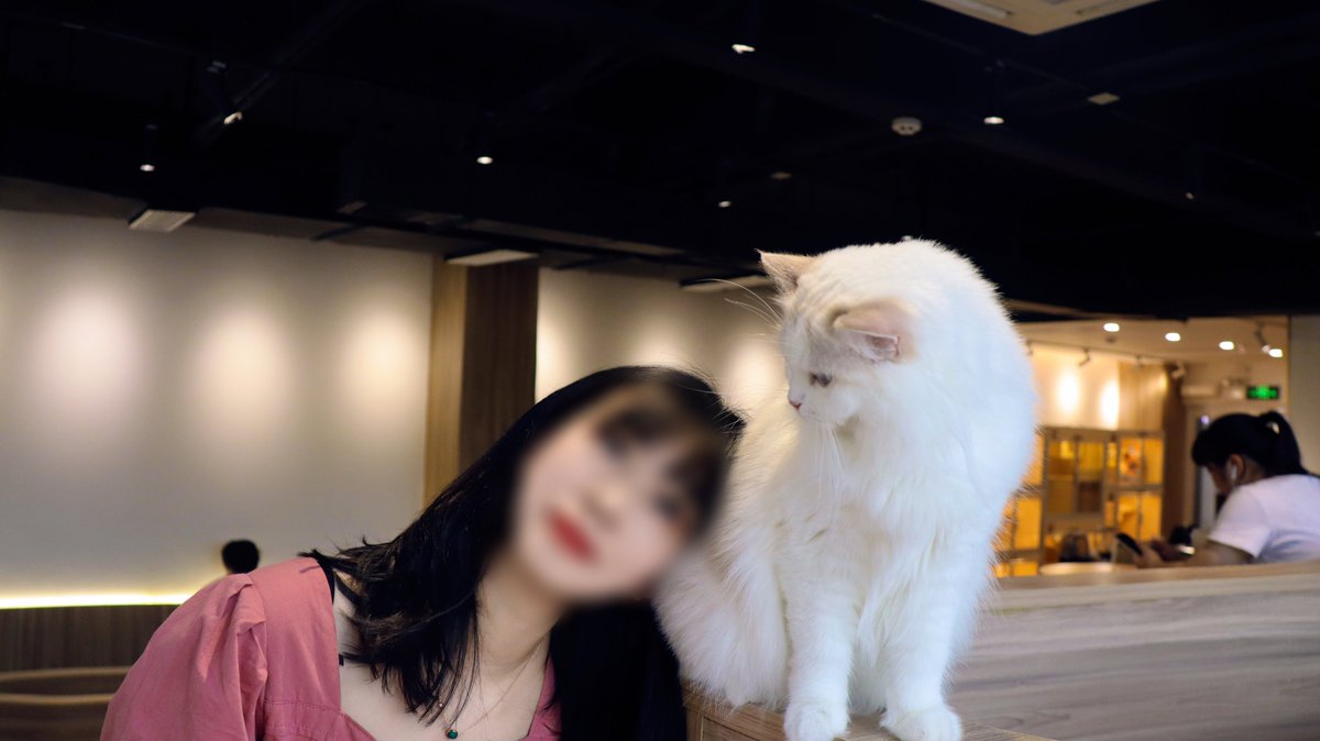 文艺和骚气
就在我的一念之间
就是传说中的反差吗 https://t.co/JST2nCoXpa