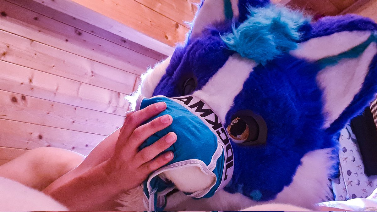 LukeHuskyRawr's tweet photo. Damn those undies smell good 😵‍💫
#nsfwtwt #murrsuit #Femboy #underwear #FursuitFriday https://t.co/9re0BliVRU