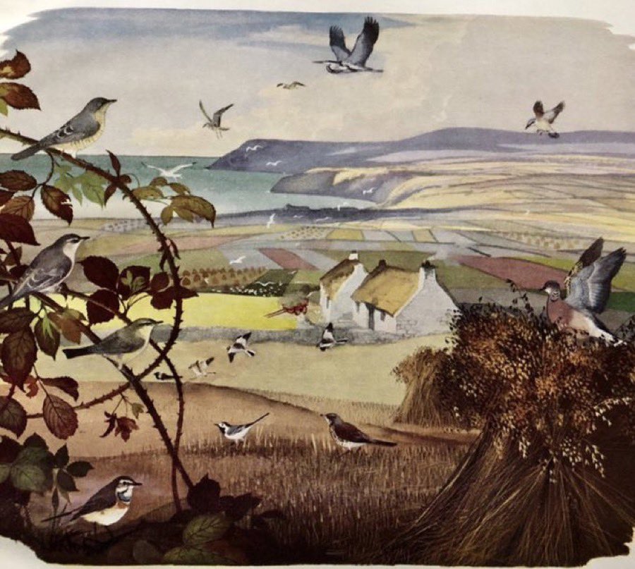 Other work by the Ladybird artists
‘September’
Shell Nature Studies, 1956
Artist: Rowland Hilder and Maurice Wilson