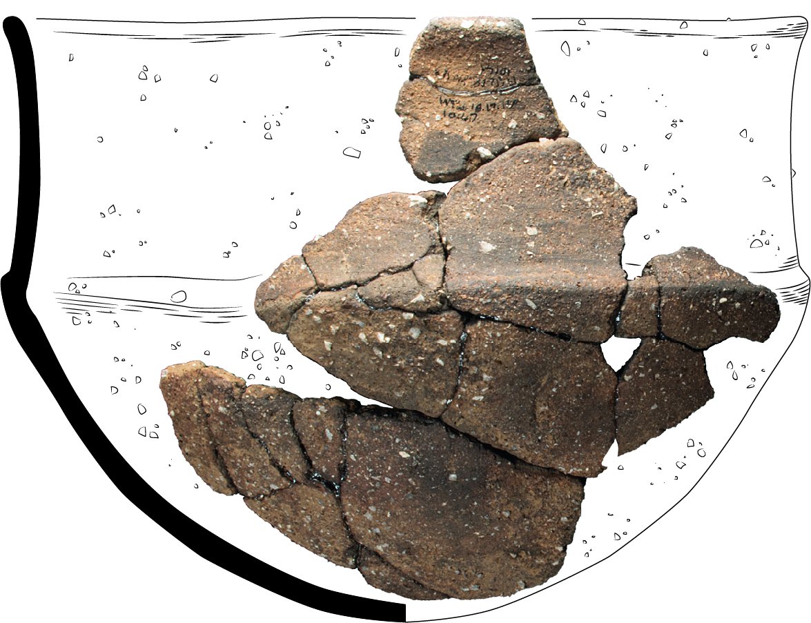 Oxford Archaeology tweet media