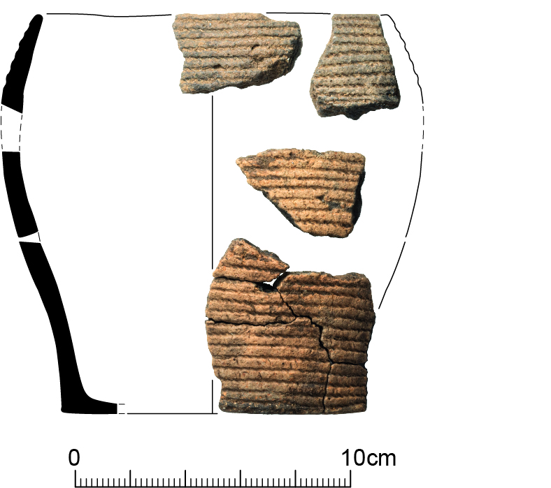 Oxford Archaeology tweet media