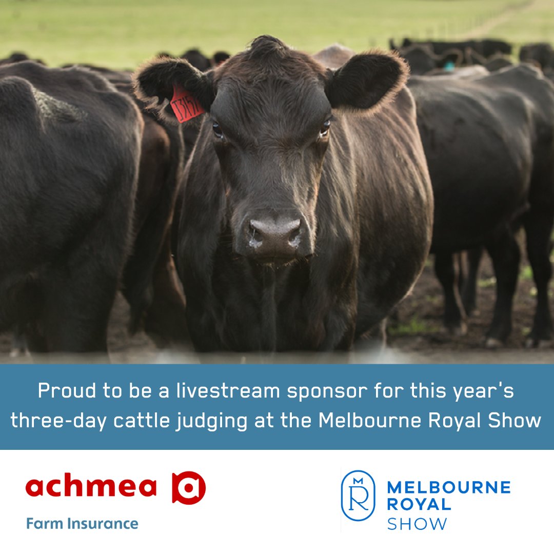 @Achmea_Farm_Insurance (@achmeaa) on Twitter photo We're excited to be a livestream sponsor again for this year's cattle judging at the <a href="/MelbRoyalShow/">MelbourneRoyalShow</a>, connecting our agricultural communities to the action. Tune in to the livestream from 3-5 Oct: stockandland.com.au/melbourne-roya….
Contact us at achmea.com.au or 1800 724 214. We're excited to be a livestream sponsor again for this year's cattle judging at the <a href="/MelbRoyalShow/">MelbourneRoyalShow</a>, connecting our agricultural communities to the action. Tune in to the livestream from 3-5 Oct: stockandland.com.au/melbourne-roya….
Contact us at achmea.com.au or 1800 724 214.