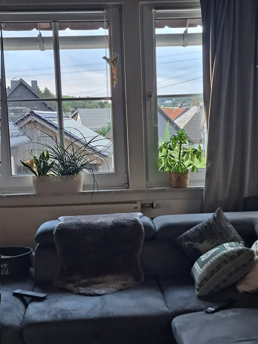 skipperatio's tweet image. It's so cold here I love it