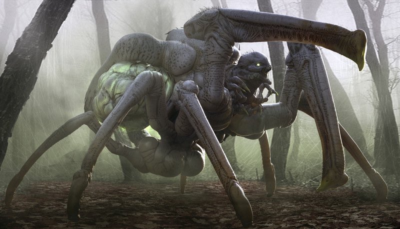 PredecessorHUB's tweet photo. This is hero that was supposed to join Paragon before it got cancelled. 🕷️🕸️

Do you want to see something like this in Predecessor? 🤔

#Predecessor #PredecessorGame #Paragon #ForgeYourLegacy https://t.co/9PhKZGnP11