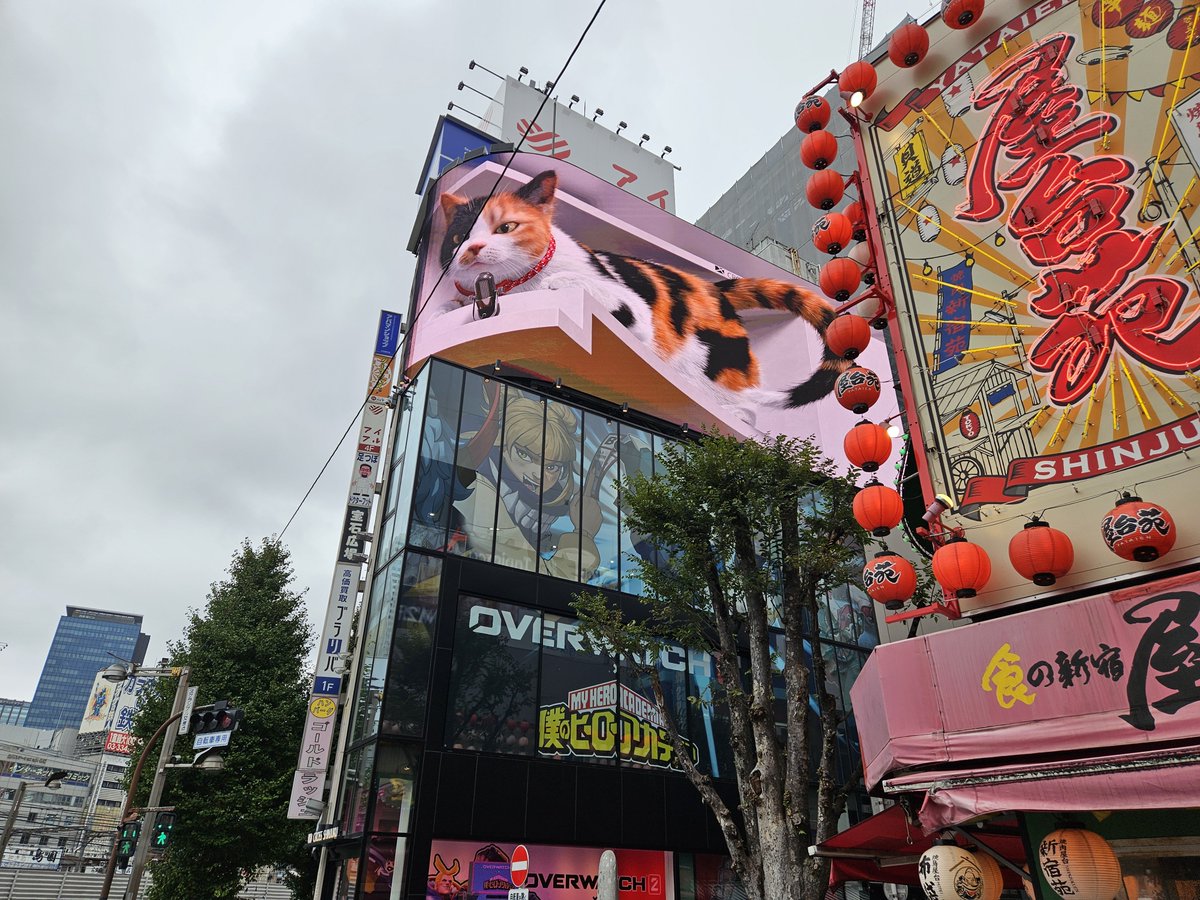 ShikiOW's tweet photo. ヒロアカコラボのラッピングビル見てきた！
ヒーローたちと写真撮れるスポットもあって今回のコラボに気合いを感じるね🥳
 #オーバーウォッチ2  #ヒロアカコラボ https://t.co/IEnqyfehFG