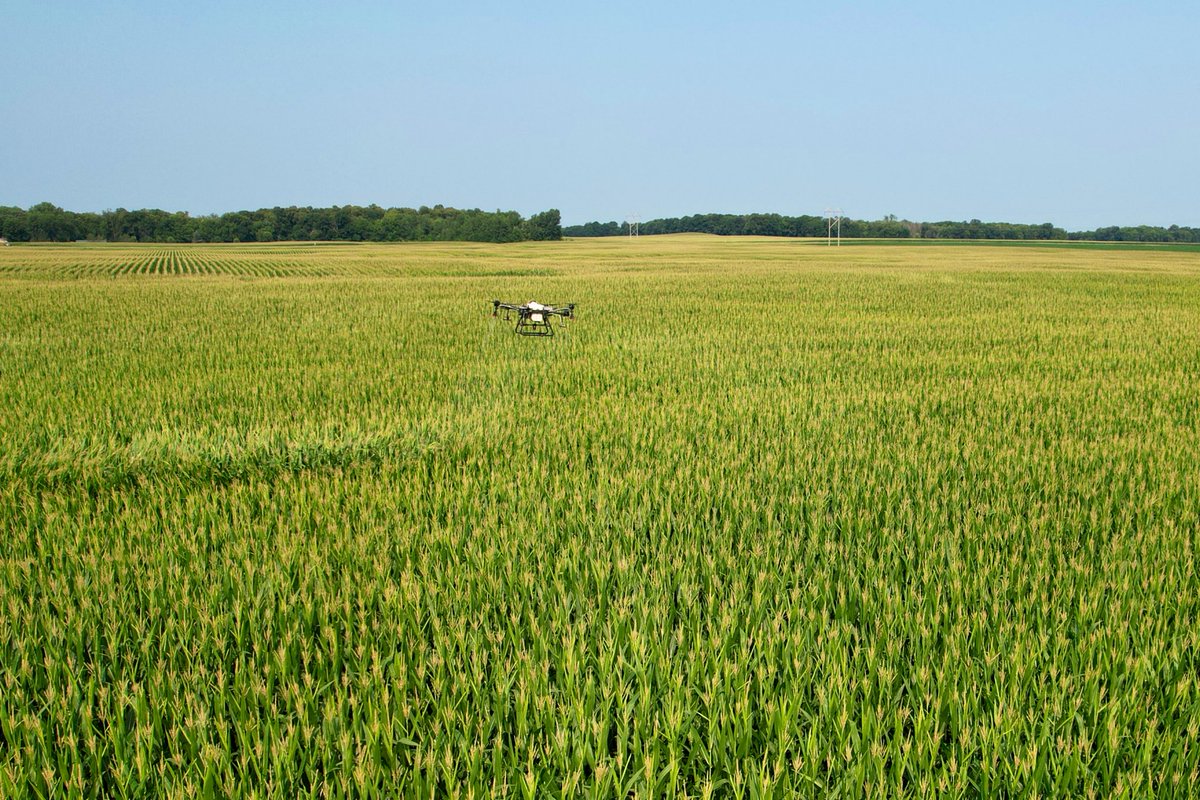 jasonlcvcmn's tweet photo. The Miravis Neo fungicide blocks we sprayed with the drone are really showing up now. https://t.co/hoXPUpMZKQ