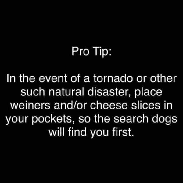 Joe Edwards (@retiredkinkster) on Twitter photo 