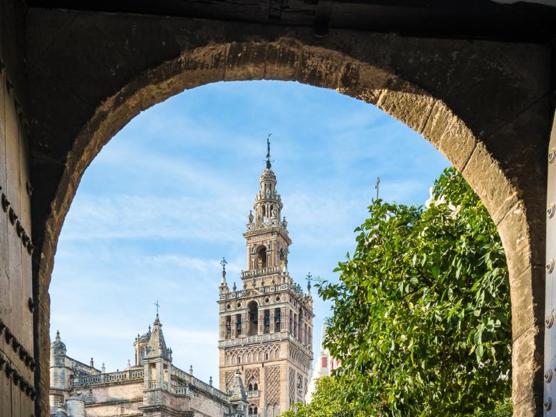 joseangelrios92's tweet photo. ¿Sabías estas curiosidades de la Giralda?

Te las cuento en este hilo: 🧵 https://t.co/Qml68ILvcb