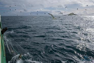 ICESmarine's tweet image. 🌊🐟🦈Strengthening ecosystem-based fisheries management in the North-East Atlantic🌊
ICES publishes advice on ecosystem approaches to fisheries management to address biodiversity &amp;amp; ecosystem objectives in the @NEAFCsec Convention.
👉Read more ices.dk/news-and-event…
#eafm #ebm