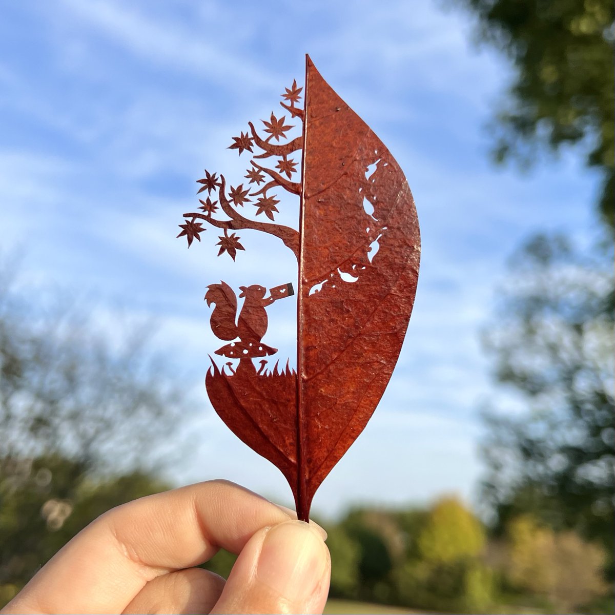 ｢風に乗って、秋のお便りが届きました｣

#季節の変わり目