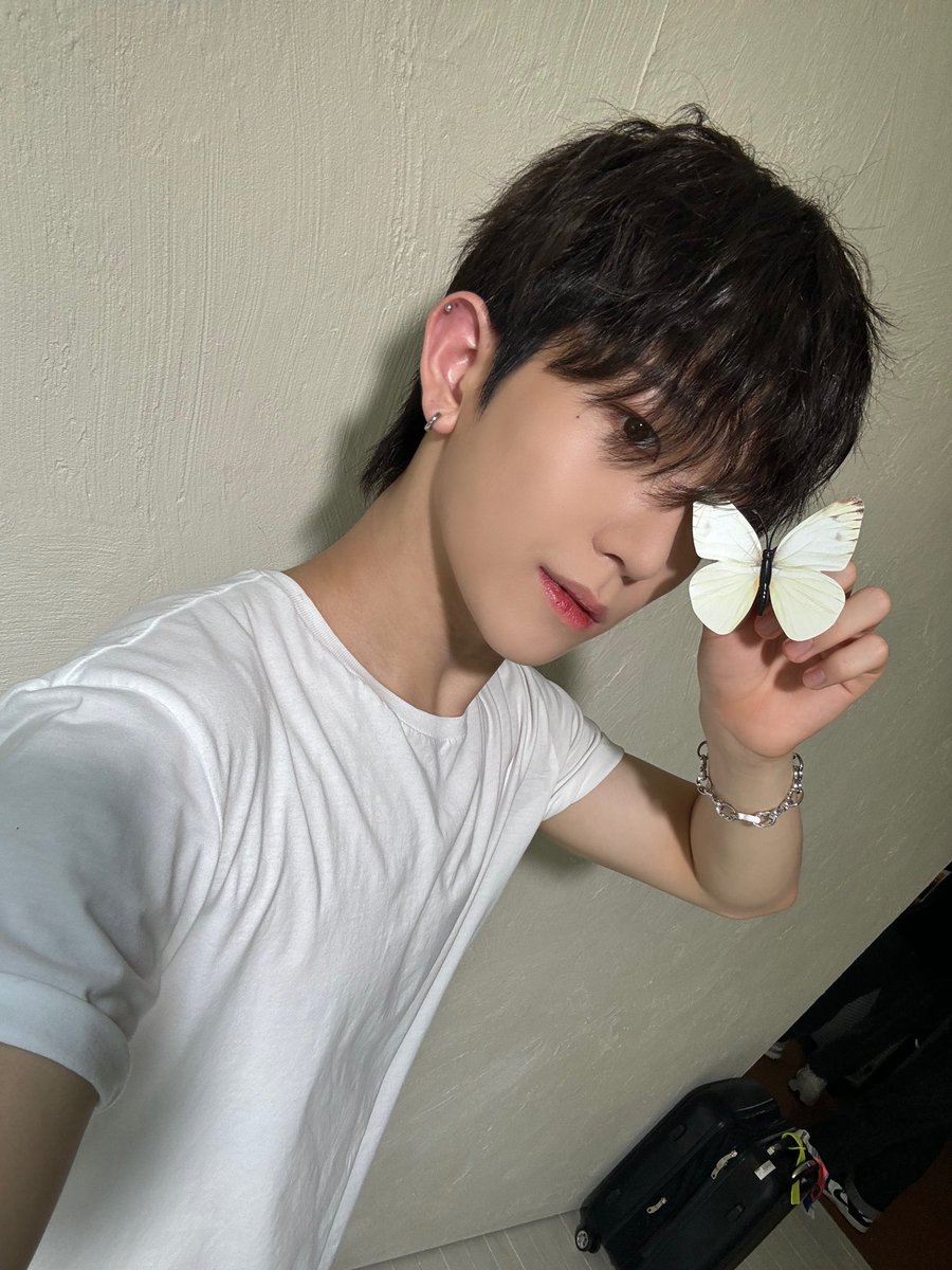 TNX_twt's tweet photo. 🦋🦋
  
#THENEWSIX #TNX #더뉴식스
#오성준 #SUNGJUN https://t.co/nteRkm5GTV