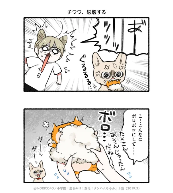 第9話「ムニョムニョぬ いぐるみ 」2/5

『生きぬけ!爆走!クソハムちゃん』2019年マンガワン掲載 