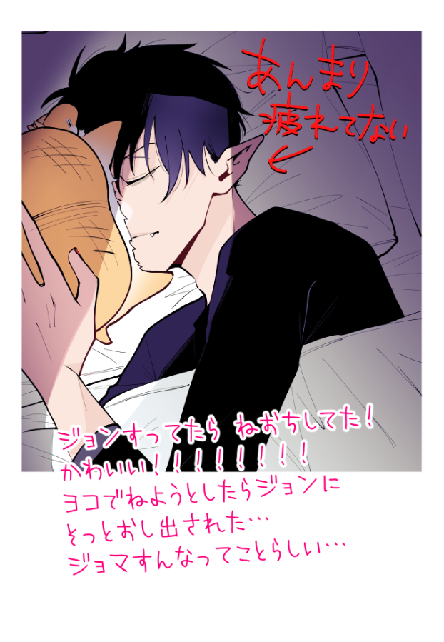 データの整理してたら出てきた、もう載せたかも覚えてないけど…前にネップリ出してたお疲れ長 