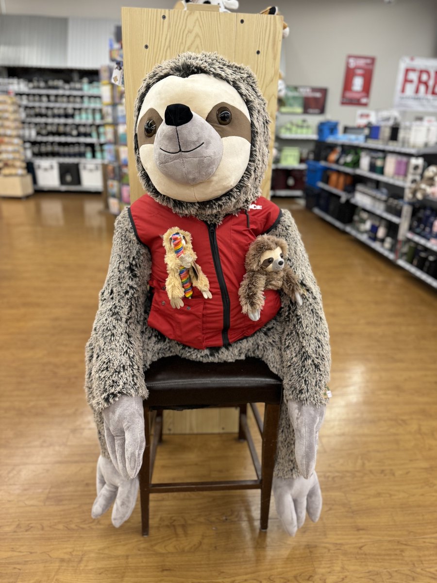 ACE Hardware of Rome tweet media