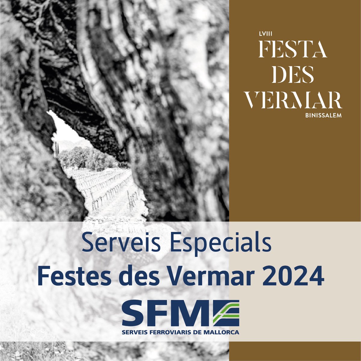 sferroviarism's tweet photo. 📢Recordeu: avui divendres, hi ha serveis especials nocturns amb motiu de la festa des #Vermar a #Binissalem
➡️A l'horabaixa, també hi haurà serveis de reforç
✅Diumenge dematí, també hem programat un tren especial Binissalem-Palma a les 6.10
⏰https://t.co/LkeFwTh99N https://t.co/tJidhmuue5
