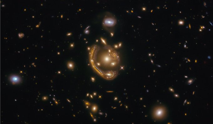A field of galaxies of various shapes and sizes. In the middle is a prominent yellow elliptical galaxy with a bright core. It is mostly encircled by a highly distorted galaxy that forms a long arc from upper left to lower right. An additional arc is on the upper right. The distorted galaxy is mostly yellowish with some prominent blue streaks. It looks somewhat like a shiny ring of molten metal.
