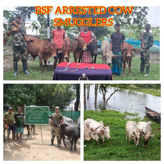 ptrioticindians's tweet photo. 🌟With each successful ops, #AlertBSF strengthens our borders and our nation. Together, we stand against infiltration! #IndoBangladeshBorder #InfiltratorsApprehended
#Tejran #WorldTourismDay #oriele #BhoolBhulaiyaa3 #DevaraReview #perletti #JrNTR #DevaraBookings #BB26 #Acharya https://t.co/lFqirGwchI