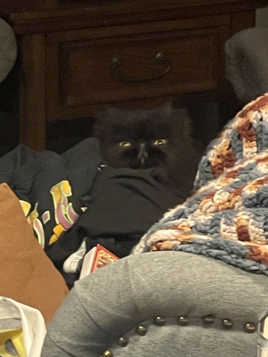 hey dade. where r u goeng. Ime can’t help but notise ime not ready to go. and yuo leaving. we havent packed my bagse. dade.