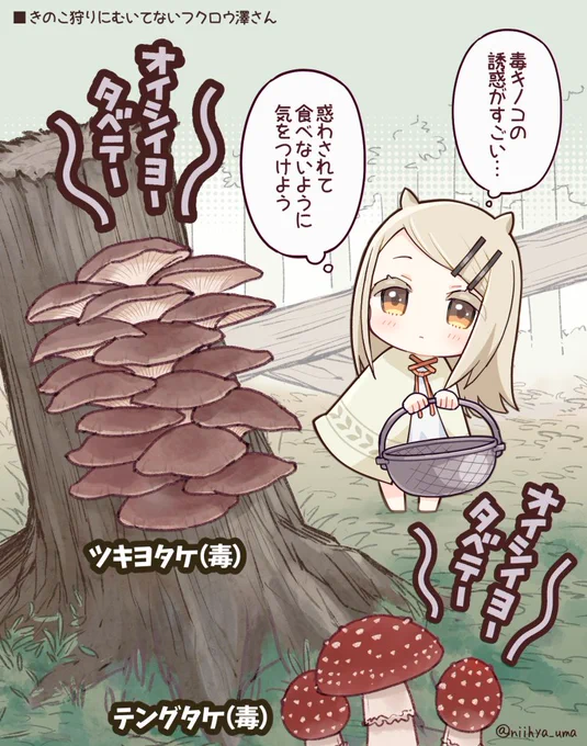 キノコ狩りにむいてないフクロウ澤さん
#篠澤広 