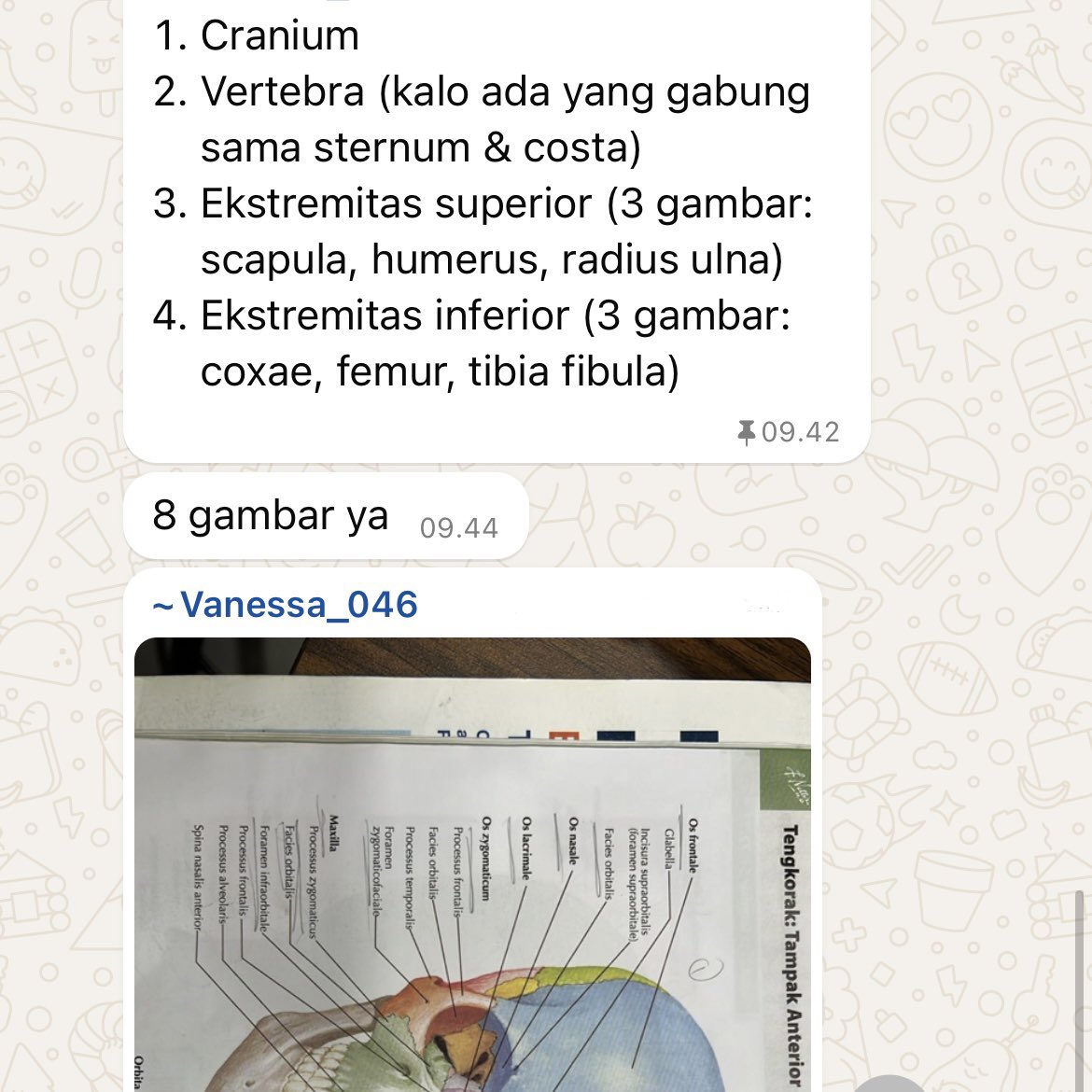 destyvm's tweet image. siap laksanakan dok🙏🏻