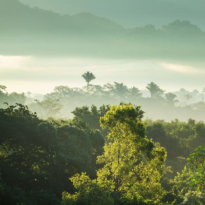 UNIVERSITÄT LEIPZIG (@unileipzig) on Twitter photo New Study conducted by <a href="/MPI_BGC/">Max Planck Institute for Biogeochemistry</a> and #UniLeipzig: After 1959, #CO₂ content in the atmosphere responded twice as strongly to tropical temperatures than before. Not just climate change, but also more frequent and strong #ElNiño events could be the reason:
uni-leipzig.de/en/newsdetail/… New Study conducted by <a href="/MPI_BGC/">Max Planck Institute for Biogeochemistry</a> and #UniLeipzig: After 1959, #CO₂ content in the atmosphere responded twice as strongly to tropical temperatures than before. Not just climate change, but also more frequent and strong #ElNiño events could be the reason:
uni-leipzig.de/en/newsdetail/…