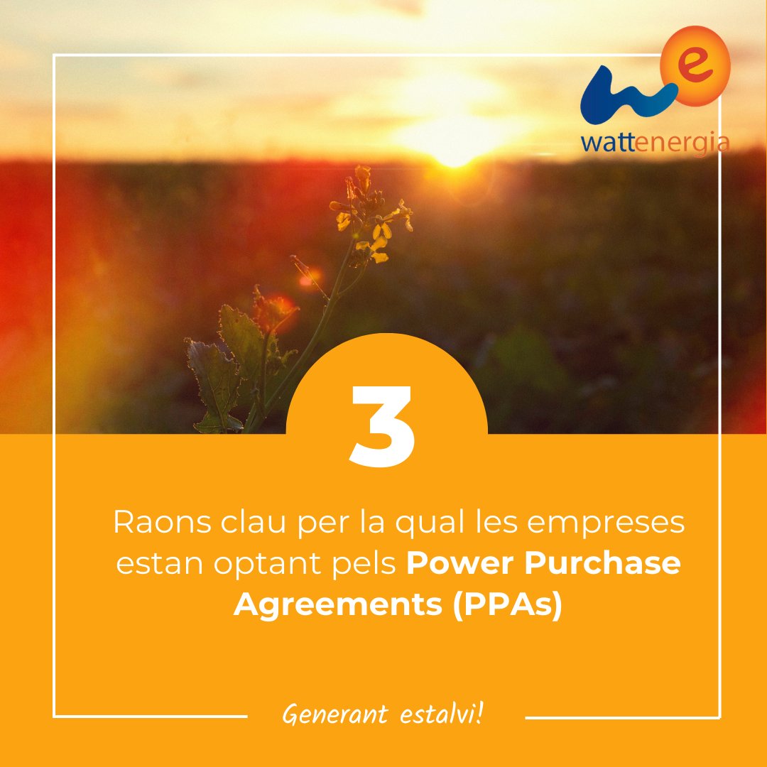 WATTENERGIA's tweet photo. Amb l'alça de costos energètics i la urgència per la sostenibilitat, els PPAs són la solució ideal per a empreses.Un #PPA és un contracte que et permet accedir a energia verda a menor cost, sense inversió inicial Llest per a transformar la teva estratègia? https://t.co/cFS8xPNT8K