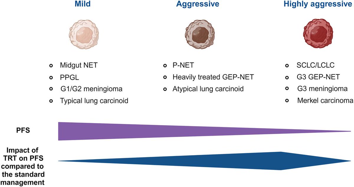 JournalofNucMed's tweet image. Reimagining biologically adapted somatostatin receptor–targeted radionuclide therapy: ow.ly/CR8450TrUF2 

#NuclearMedicine #RPTherapy #Cancer @univAMU_Europe @aphm_actu