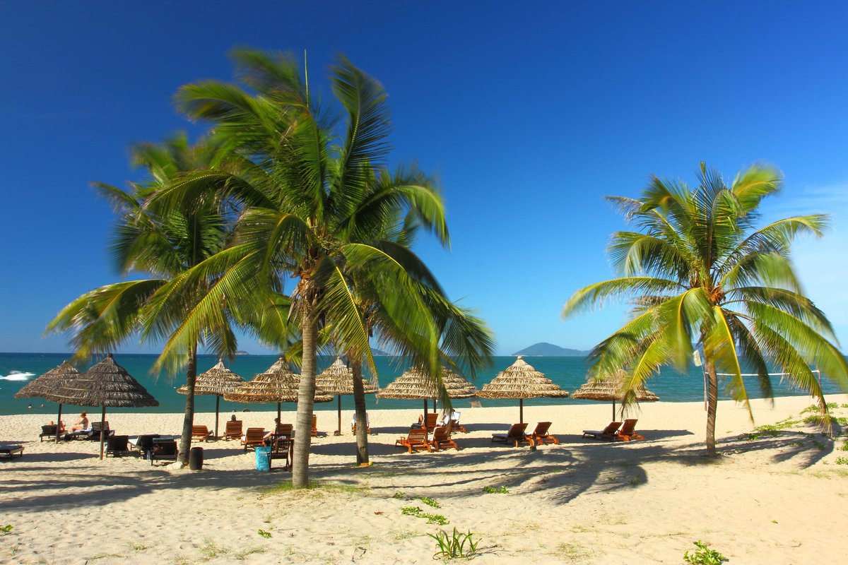 🌴Journée mondiale du #Tourisme : 270 millions de personnes travaillent dans ce secteur en plein rebond

🔷Les défis persistent : informalité, bas salaires, #discrimination &amp; manque de données fiables.

🏝️ <a href="/OITinfo/">Organisation internationale du Travail</a> <a href="/UNWTO/">UN Tourism</a> ensemble pour combler les lacunes➡️tinyurl.com/24dpnw4f