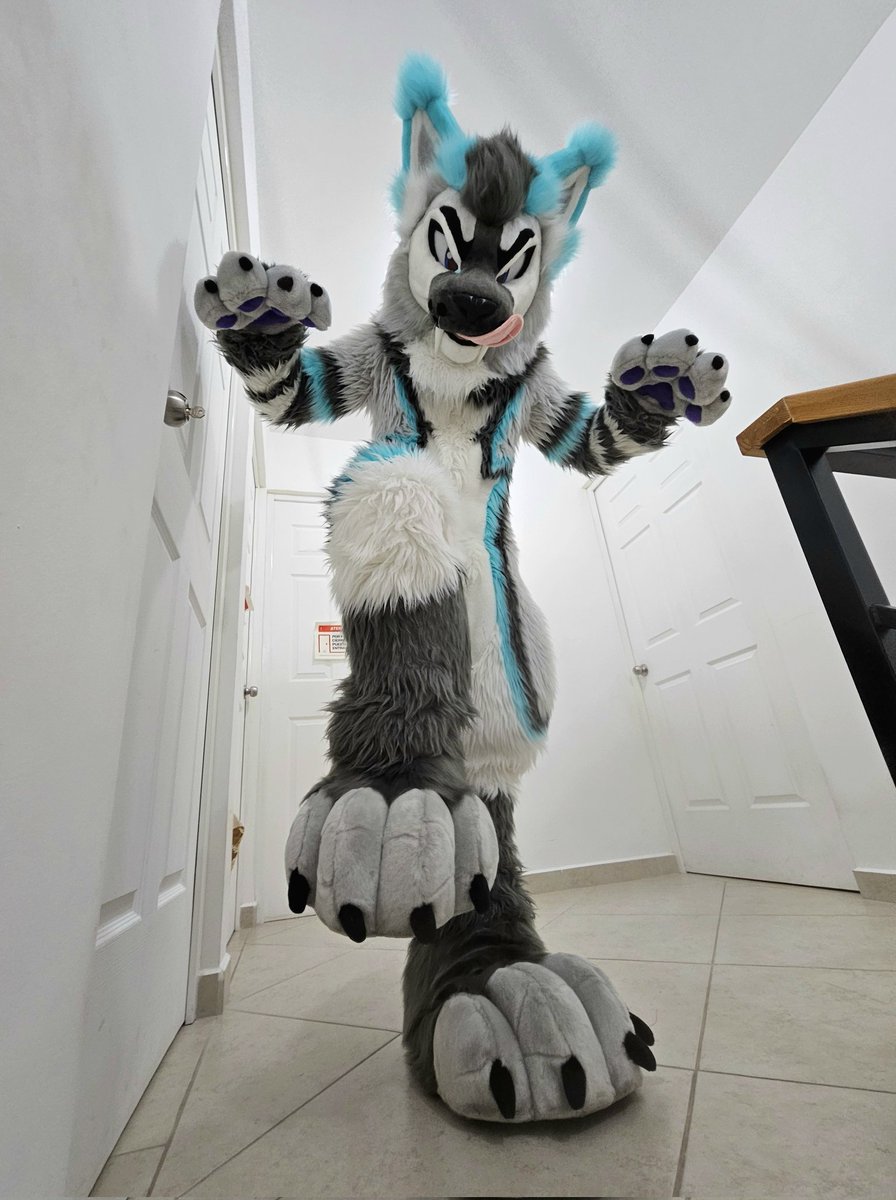 #FursuitFriday desde temprano 
Ya habían pasado meses desde el último! 

Aprovechando la furhead nueva y que ya estamos a menos de 2 FF para #confuror 😋

🧵🪡
Furhead by <a href="/Chonky_Tiel/">Chonky 'Tiel Creations 🐦 Open Commissions 🧵</a> 
El resto by <a href="/PyropeCostumes/">✨Pyrope Costumes✨</a>