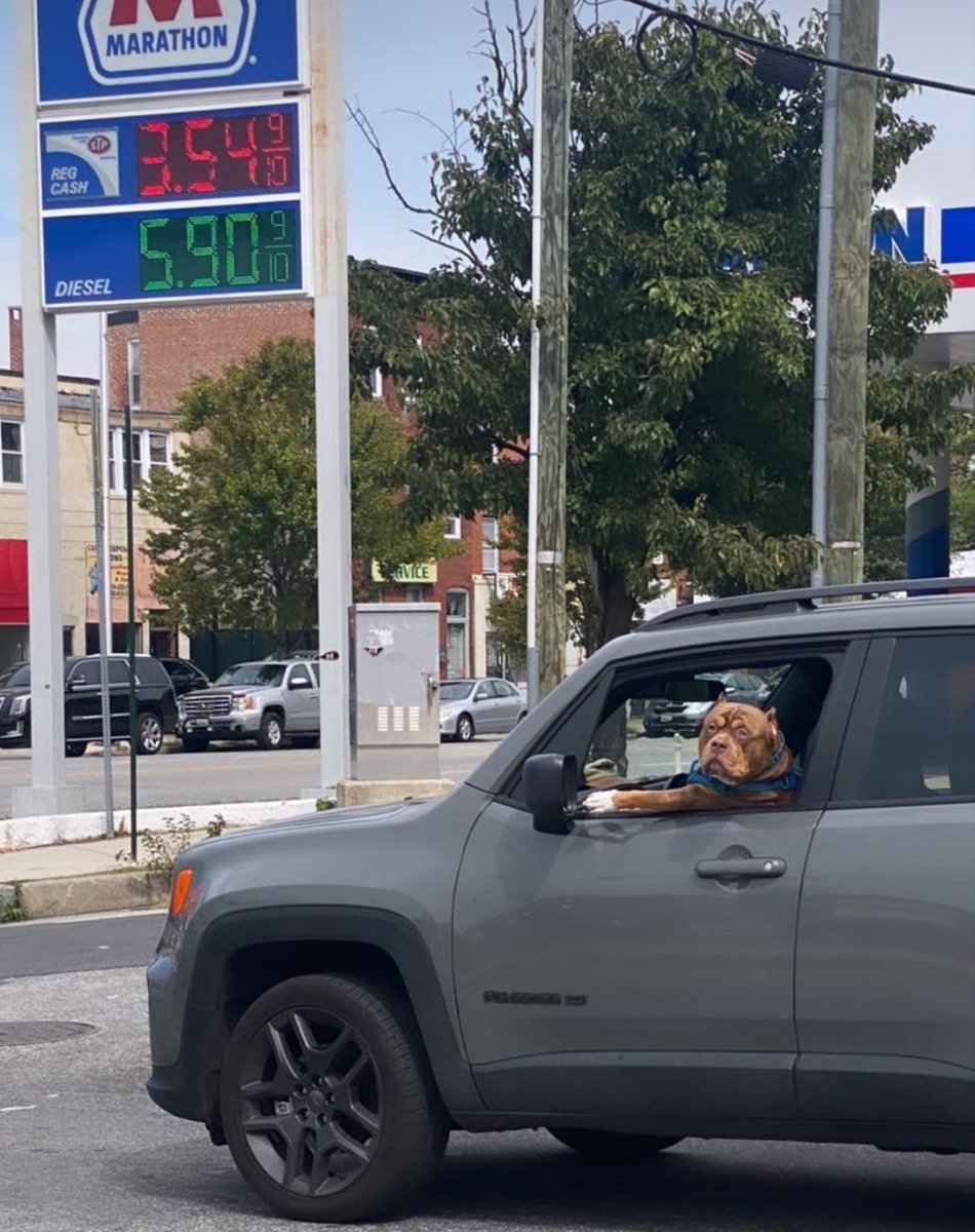 KaitlinObscura's tweet photo. When they say Baltimore is a lawless land, this is what they mean. https://t.co/JV2kT4CyRh