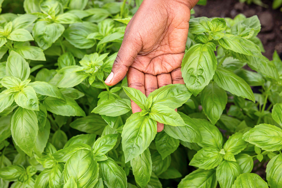 To mark #GlobalGoals Week, an annual week of action, awareness &amp; accountability for the #SDGs, our CEO, <a href="/DhivyaOConnor/">Dhivya O’Connor CEO</a> is highlighting the contributions women entrepreneurs make to sustainable development &amp; how supporting them can fuel global progress: cherieblairfoundation.org/news-list/wome…