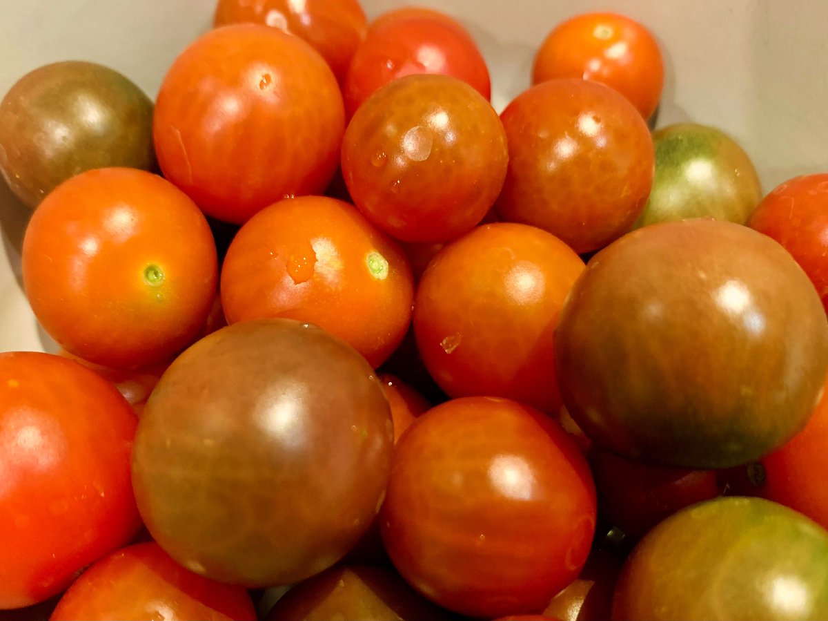 Lady Muck tweet media