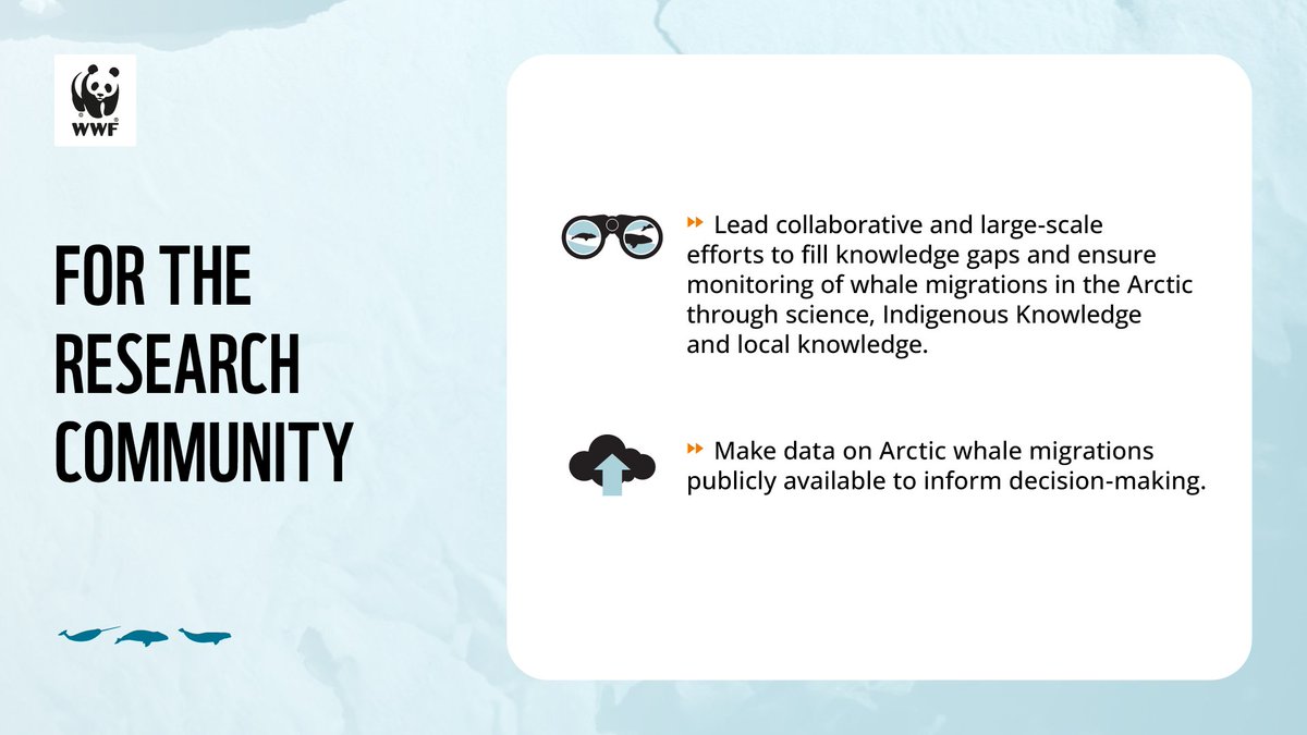 🐋 #ProtectingBlueCorridors in the #Arctic requires all hands on deck from:

🤝 Arctic states &amp; <a href="/ArcticCouncil/">Arctic Council</a>
🚢 #Shipping industry &amp; companies
⚓ <a href="/IMOHQ/">International Maritime Organization</a>
📑 Researchers

Our new Arctic blue corridors report outlines the actions needed from each group 🔗: arcticwwf.org/newsroom/repor…