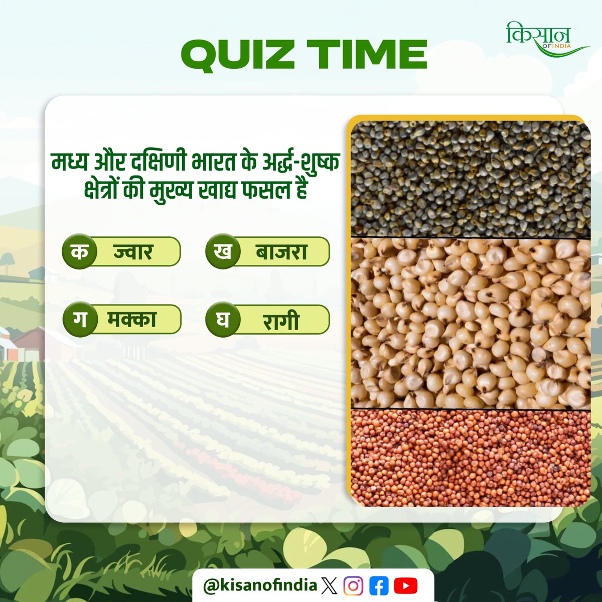 KisanofIndia's tweet photo. मध्य और दक्षिणी भारत के अर्द्ध-शुष्क क्षेत्रों की मुख्य खाद्य फसल है

जुड़िए हमारे WhatsApp Channel से - https://t.co/Op3Sc4M6ug

#Kisanofindia #SemiAridCrops #IndianAgriculture #DroughtResistantCrops #MilletsOfIndia #DrylandFarming #SustainableFarming #IndianFoodCrops #AgroEconomyIndia #SouthIndiaFarming #CentralIndiaAgriculture