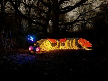 Stem op zaterdag 12 oktober tijdens de avondwandeling Nachtwinter (circa 40 minuten) je ogen en oren af op het nachtelijke leven in het Park van de Oude Abdij in #Kortenberg. 🚶
Onderweg worden de wandelaars begeleid door een audiogids. 🎧
kortenberg.be/avondwandeling…