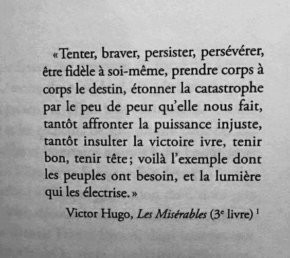 "Intentar, desafiar, persistir, perseverar, ser fiel a sí mismo, pelear a brazo partido con el destino, dejar asombrada a la catástrofe cuando ve qué poco miedo nos da, resistir, plantar cara: ése es el ejemplo que necesitan los pueblos y la luz que los electriza".
"Los
