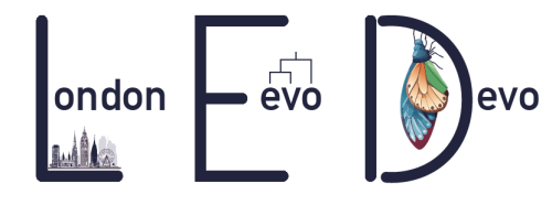 Join the #EvoDevo community at the London Evo Devo meeting at Queen Mary’s campus on 8 November. A great chance to dive into discussions about evolutionary and developmental biology! For more information and to register⬇️
thenode.biologists.com/82984-2/events/