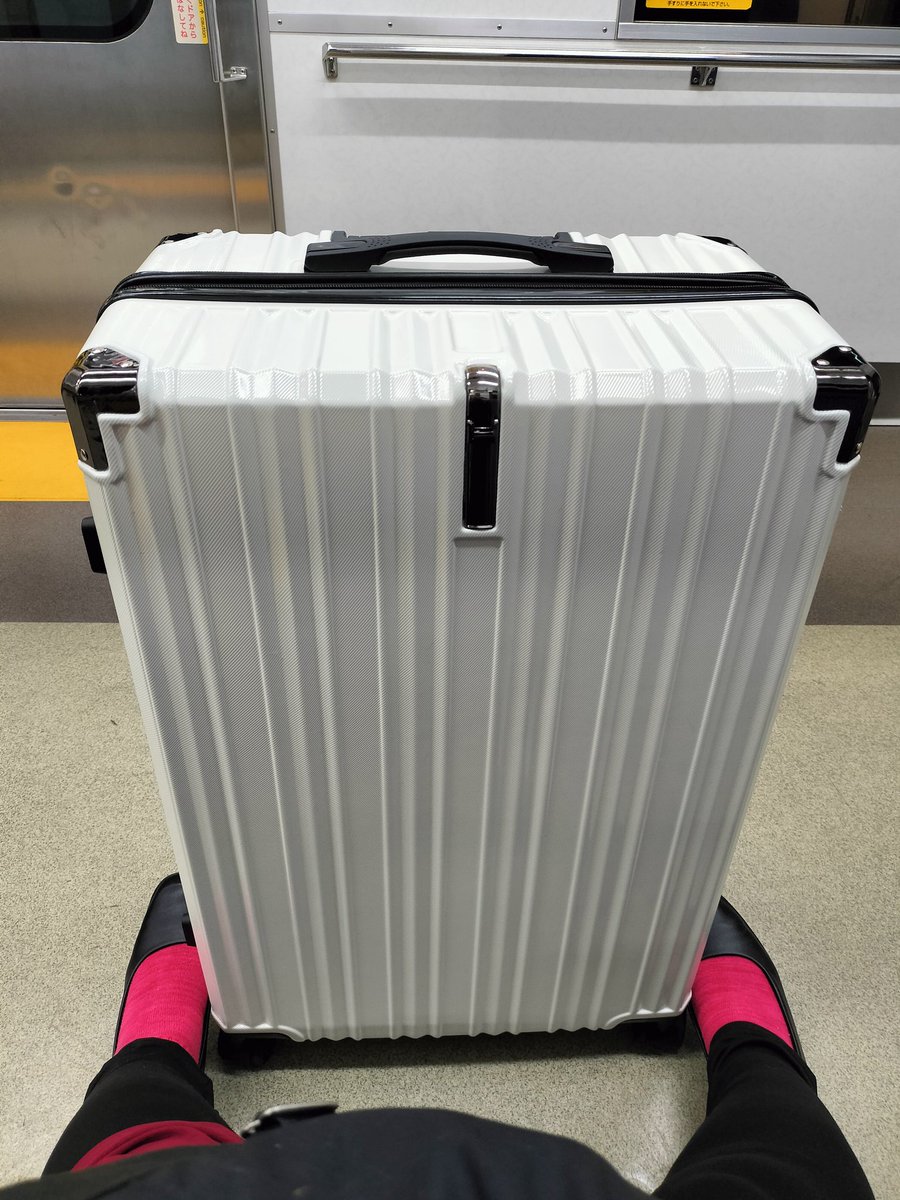 テアトルラドムから、ポーランド公演のフライトチケットが届きました！　10/16のラドム公演に向けて絶賛稽古中です！
そして、アメ横で訳ありスーツケース100Lを6600円で買いました。うふ！ピカピカ。
#フェルディドゥルケ