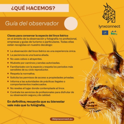 LifeLynxconnect's tweet photo. 📸🐾 Con la elaboración de nuestro decálogo del observador, hemos podido acercar el #lince ibérico tanto a profesionales del ámbito de la #fotografía como a empresas de turismo y particulares respetando el bienestar de la especie.
#LYNXCONNECT #LinceIbérico #ProyectoLIFE https://t.co/qeOCz8AjkH