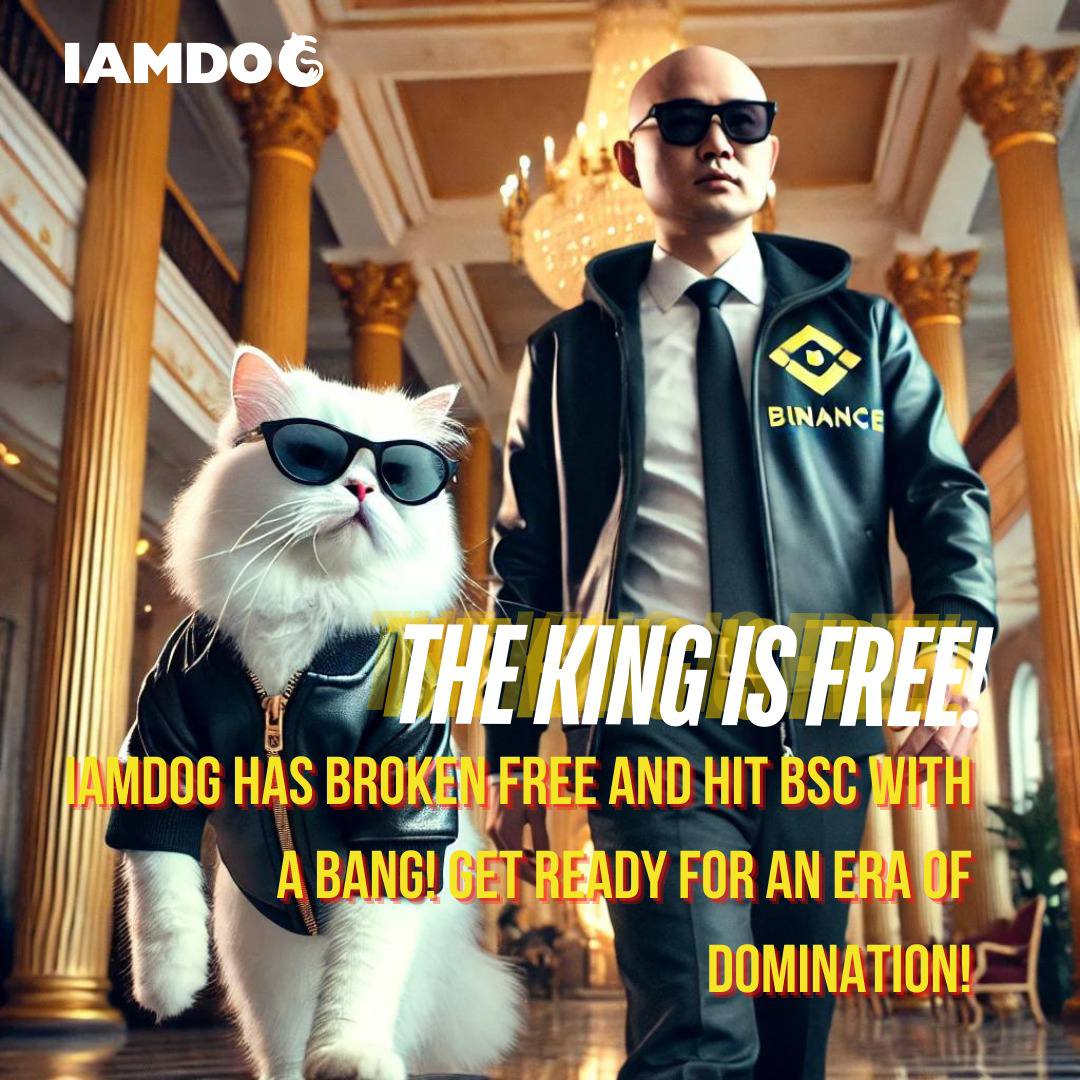 revolut20's tweet photo. Folks @iamdogofficial launching soon on #BSC after they did a pretty good Launch on @matchain_io
#BSC Meme Season is about to hit and trust me ot might be the biggest one we have ever witnessed!
Don't miss #IAMDOG 🔥🔥 https://t.co/E2lePP50aj