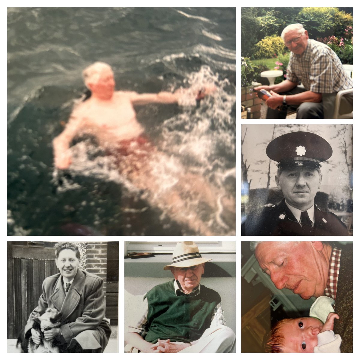 Dr Deirdre Giblin tweet media