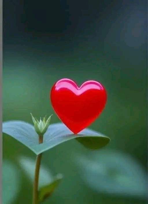 EnginSuvar8's tweet photo. @aBBP688 https://t.co/OieaSVpLPQ