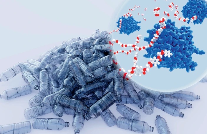 EMBL-EBI (@emblebi) on Twitter photo Plastic pollution is an environmental challenge. However, nature is creating its own solutions, such as plastic-eating bacteria.
Our researchers are using data from <a href="/TaraOcean_/">Fondation Tara OcΓ©an</a>, <a href="/MGnifyDB/">MGnify</a> and the #AlphaFold Database to find these enzymes in our oceans π
nature.com/articles/s4158β¦ Plastic pollution is an environmental challenge. However, nature is creating its own solutions, such as plastic-eating bacteria.
Our researchers are using data from <a href="/TaraOcean_/">Fondation Tara OcΓ©an</a>, <a href="/MGnifyDB/">MGnify</a> and the #AlphaFold Database to find these enzymes in our oceans π
nature.com/articles/s4158β¦