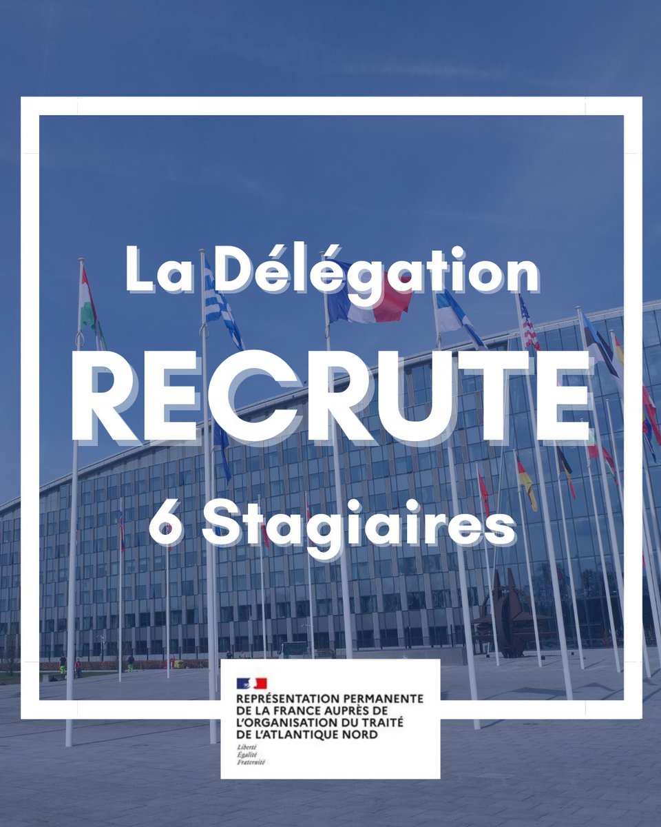 🚨La RP de la France auprès de l'#OTAN recrute des stagiaires !🚨

Pour une durée de 6 mois, venez rejoindre les rangs de la délégation et découvrir l'Alliance de l'intérieur

Pour plus d'informations, rendez-vous sur notre page LinkedIn : linkedin.com/company/rpfran…