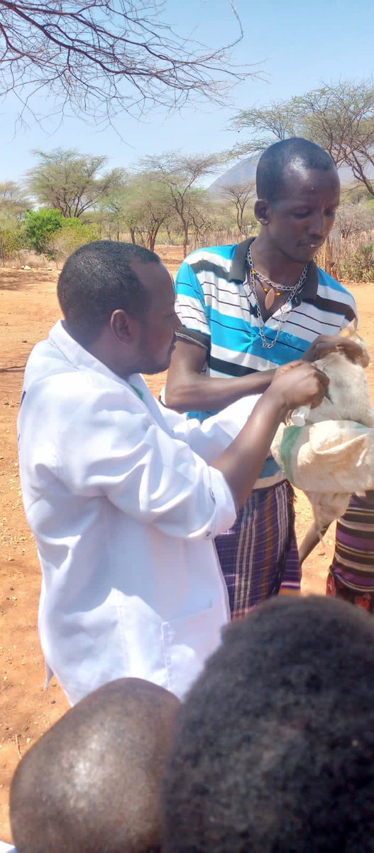 FAOKenya's tweet photo. World Rabies Day 🗓️28 Sept.  aims to raise awareness about rabies &amp; its prevention.

👉Read how Emmanuel applied skills acquired through #ISAVET training to control rabies in Baragoi sub-County in @SamburuCountyKE 

👉https://t.co/2xabzsdjwU https://t.co/KxPRtZGrqn
