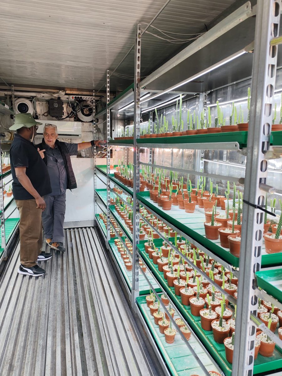 dryGrow Foundation tweet media