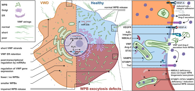Bas_Laan tweet media