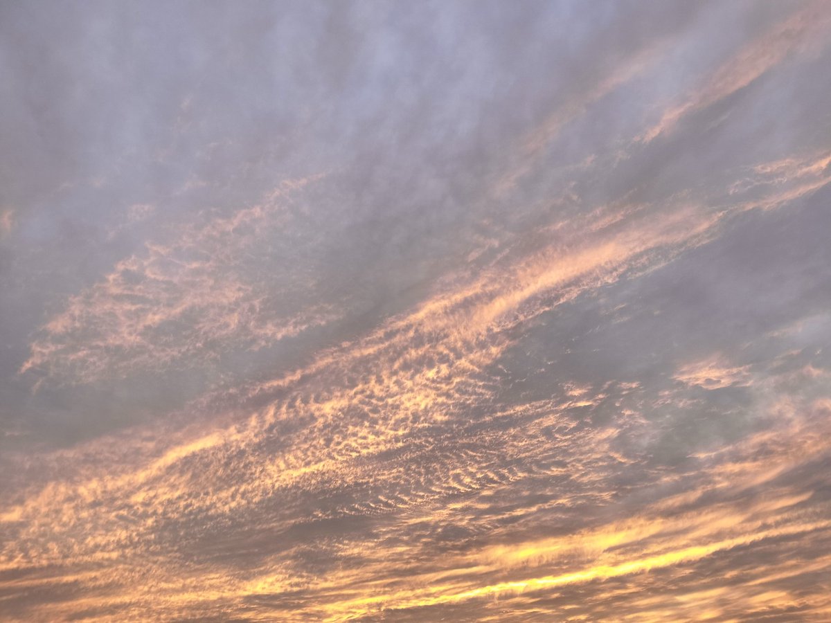 ichi_ogino's tweet photo. 練習しててきれいな夕日をみりやらました、 https://t.co/saqV7S80y5